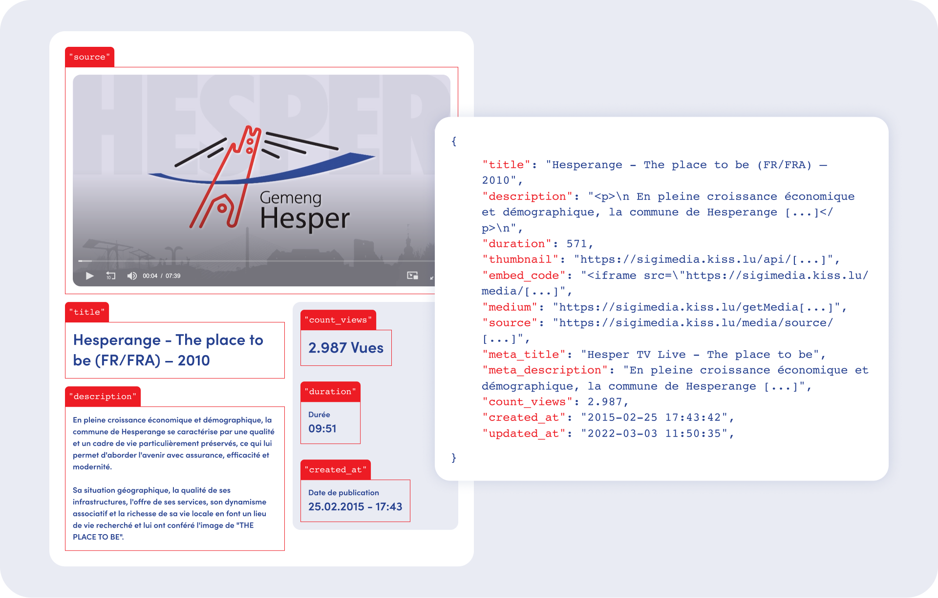 display dynamic information api